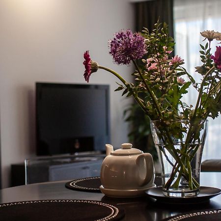 Apartament Na Stoku キェルツェ エクステリア 写真